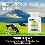 VITINITY Grass Fed Bovine Colostrum Capsules for Humans - Natural IgG Colostrum Supplement for Gut Health, Immune Support, Muscle Recovery & Wellness | Pure Colostrum Superfood, Unflavored (120 Count)