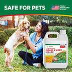Eco Living Solutions Weed Killer Concentrate - Pet Safe, Organic Spray for Grass, Moss, Crabgrass & Dandelion | Glyphosate Free Herbicide (32 oz)