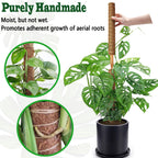 4 Pack 22 Inch Moss Poles, Stackable Moss Pole for Plants Monstera, 70 Inch Tall Moss Poles for Climbing Plants Indoor, Coir Totem Plant Support Stakes Stand for Potted Plants, Pothos
