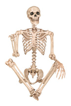 Crazy Bonez Original Pose-N-Stay Halloween Skeleton, 5 FT – Life-Size