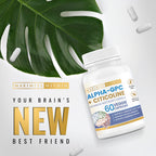 Maximize Within Alpha GPC + Citicoline 60 Ct, 1600mg Concentrated Formula- 99%+Highly Purified & Bioavailable Nootropic-Cognitive Enhancer, Supports Memory, Brain Function, Boosts Focus, Mood & Energy