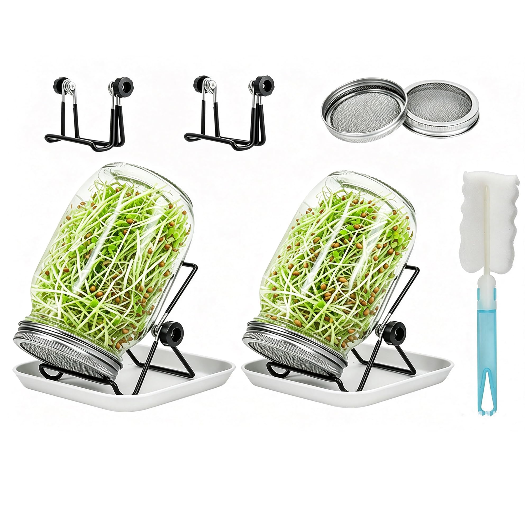 Lulonpon 2pcs Sprouts Growing Jar Kit, Wide Mouth Quart Mason Jars with Stainless Steel Screen Sprout Lids, 86mm,1000ml,Stand,Tray and Canning Brush,Seed Sprouter Set for Broccoli, Alfalfa, Mung Bean