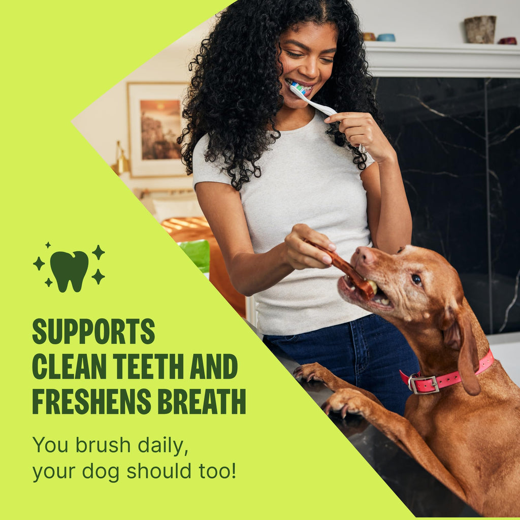 Wellness WHIMZEES Value Pack Natural Dog Dental Treat, Chews, Freshens Breath, Small Size, 47.1 oz Box, 89 Count