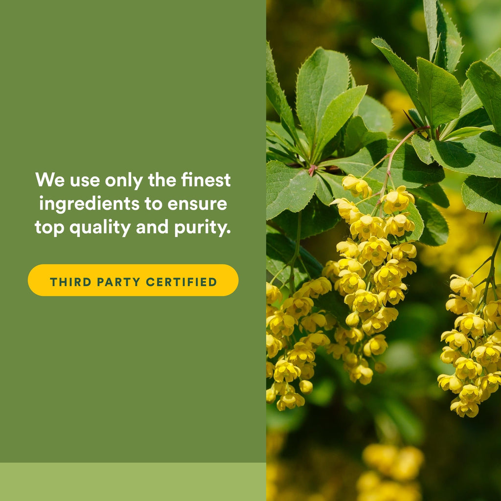 Natural Factors Berberine LipoMicel Matrix - Daily Supplement Supports Metabolic Health - Formula Supports General Health - Gluten-Free & Dairy-Free - 90 Liquid Softgels (90 Servings)
