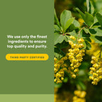 Natural Factors Berberine LipoMicel Matrix - Daily Supplement Supports Metabolic Health - Formula Supports General Health - Gluten-Free & Dairy-Free - 90 Liquid Softgels (90 Servings)