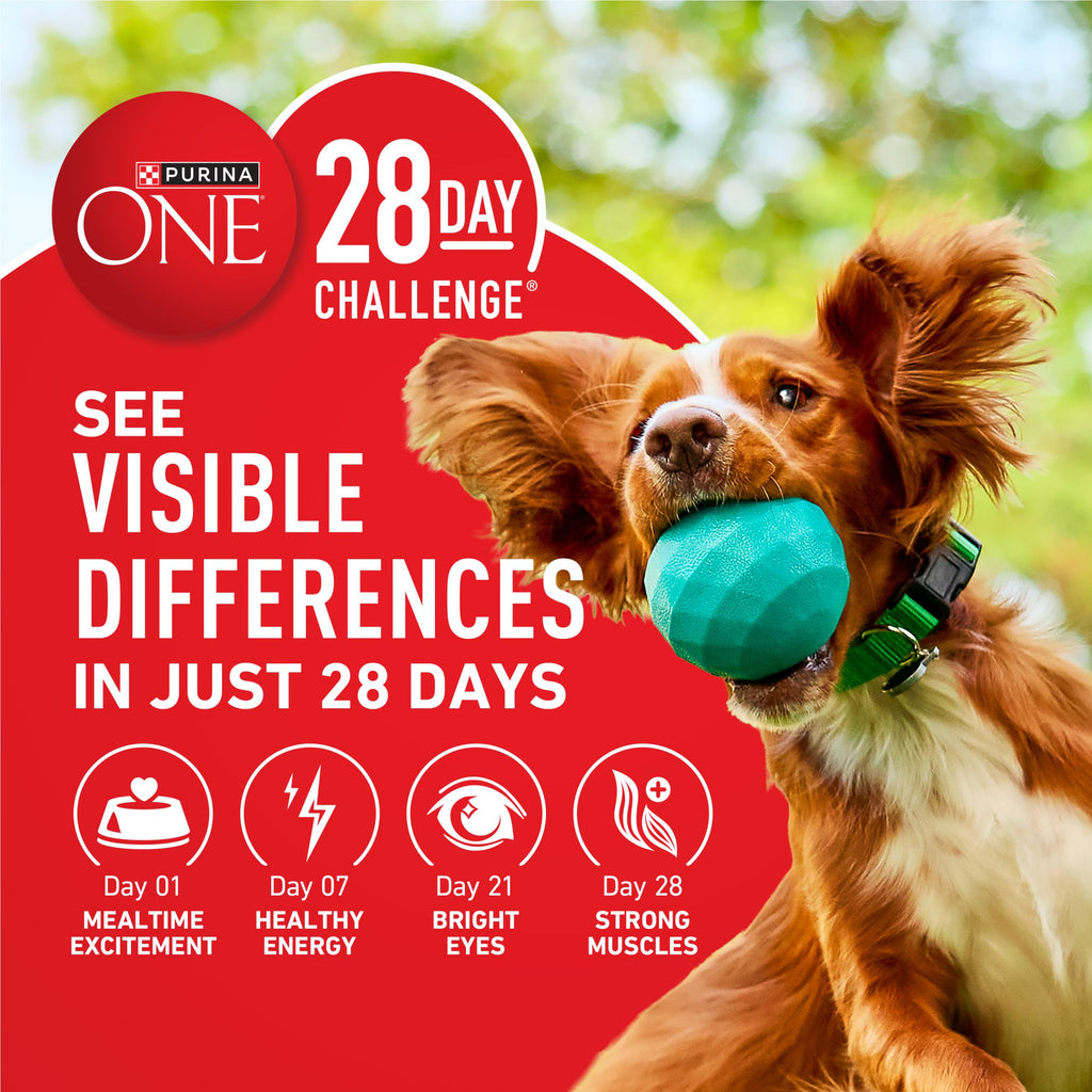 Purina ONE Chicken & Rice Formula Dry Dog Food, 8 lb Bag