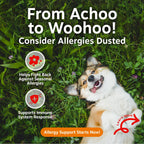 Zesty Paws Dog Allergy Chews - Dog Allergy Relief, Peanut Butter, 90 Ct