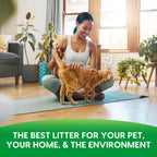 Fresh News Original Pellet Non-Clumping Paper Cat Litter, 25 Pound
