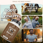 Ancestral Supplements Grass Fed Beef Kidney Supplement, 3000mg, DAO Enzyme Supplement, Kidney Support for Urinary and Histamine Health, Selenium, B12, Non GMO, 180 Capsules