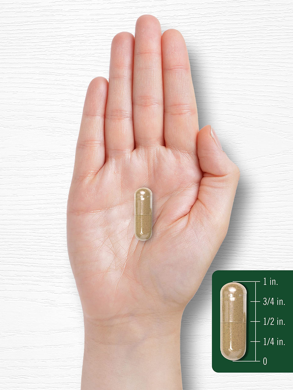 Carlyle Artichoke Extract Capsules | 200 Count | Non-GMO, Gluten Free Supplement