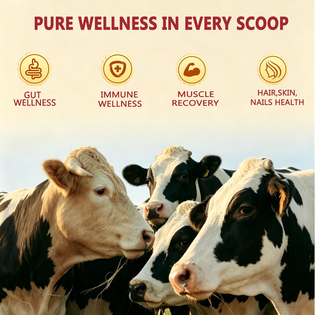 JUYIHEAL Core Bovine Colostrum Gummies, 1g Per Serving Grass Fed Colostrum Chews Colostrum Supplement for Gut Health, Hair Growth, Beauty, and Immune Support, Strawberry Flavor 60 Servings