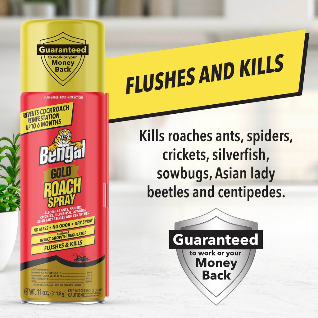 Bengal Gold Roach Spray - Odorless, Stain-Free Bug Spray for Home - Prevents Reinfestation for Up to 6 Months - 11 oz, 3 Pack