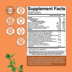 Vegan Thyroid Support Gummies with Sea Moss - Thyroid Support Gummies for Comprehensive Support for Men and Women with Iodine Selenium and Other Potent Vitamins - Gelatin-Free Non-GMO - 90 Count