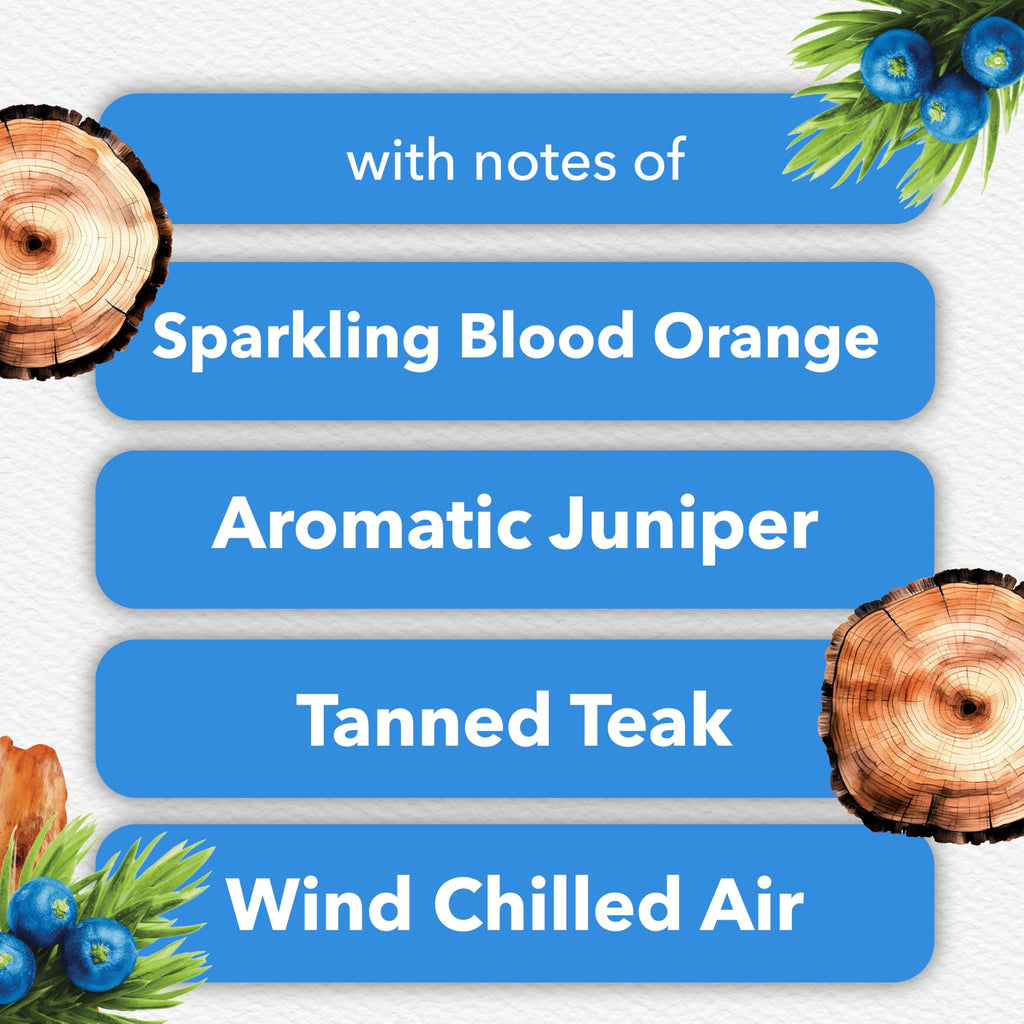 Glade PlugIns Refills Air Freshener, Juniper & Teak, Scented and Essential Oils for Home and Bathroom, 0.67 Fl Oz, 10 Count