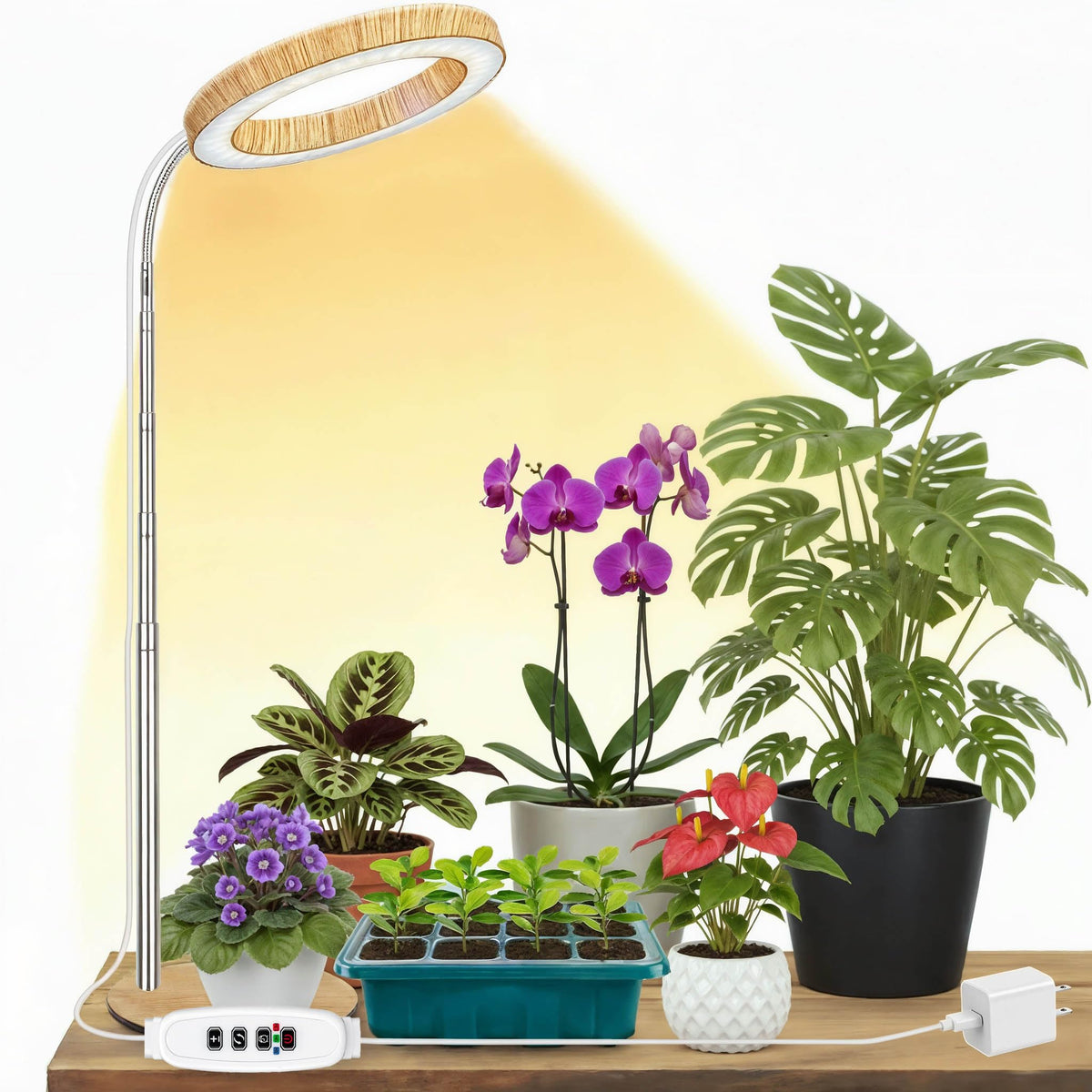 Grow Lights for Indoor Plants Full Spectrum, Desk LED Plant Light with Faux Wood Grain, 12"-43" Height Adjustable, Auto On/Off Timer 3/9/12H, 3 Modes 10 Dimmable Levels for Succulents, Herbs