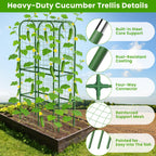 62in Tall Cucumber Trellis for Raised Bed, 34" L x 62" H Metal Garden Trellis for Climbing Plants Outdoor, U-Shape Vegetables Trellis Support for Squash Zucchini Peas Grape