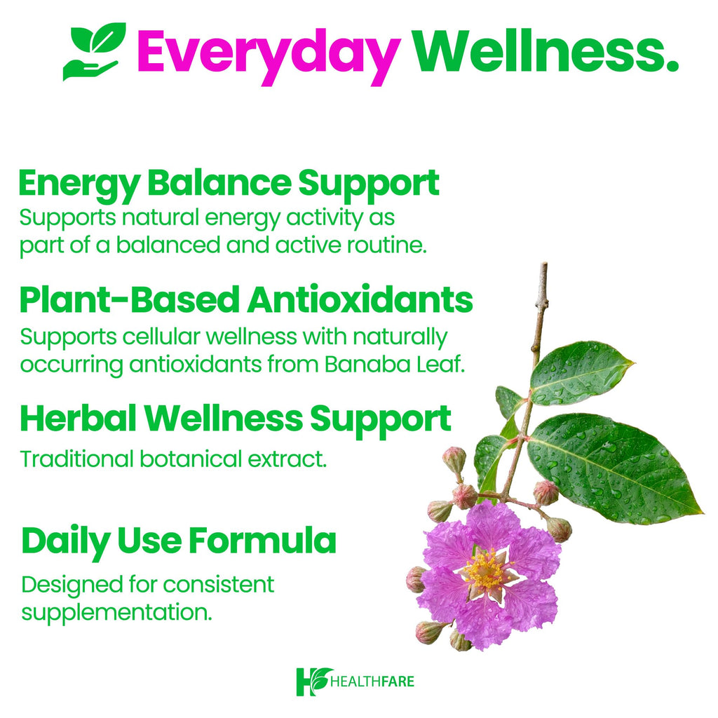 Healthfare Banaba Leaf Extract Capsules 3000mg | 90 Vegan Pills | Standardized with Corosolic Acid | Premium Herbal Supplement | Non-GMO, Gluten-Free | Made in USA
