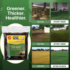 Premium Nutrient-Rich Stretch Coir Blend - 10 lbs Covers Up to 400 Sq Ft - Grow Thicker, Greener Grass in Heat Conditions of