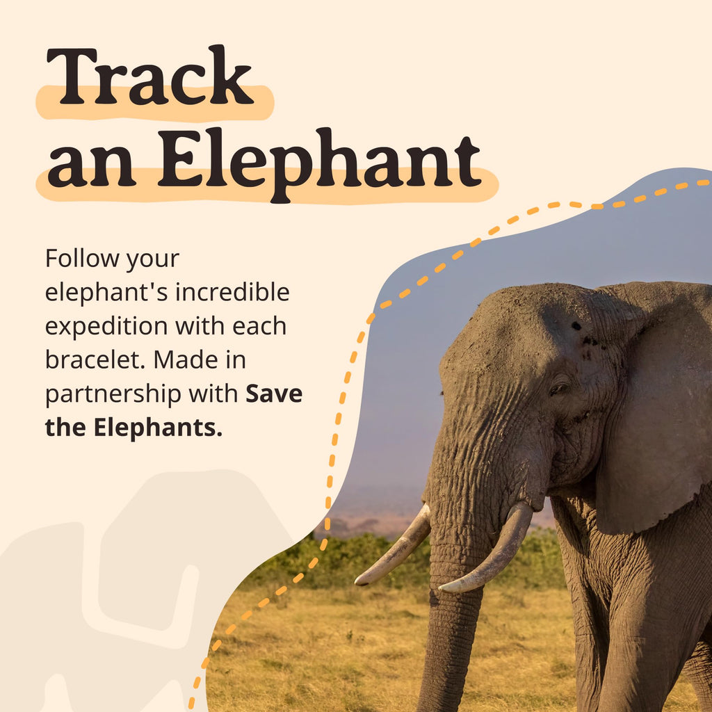 Fahlo Elephant Tracking Bracelet, White Howlite STE Edition
