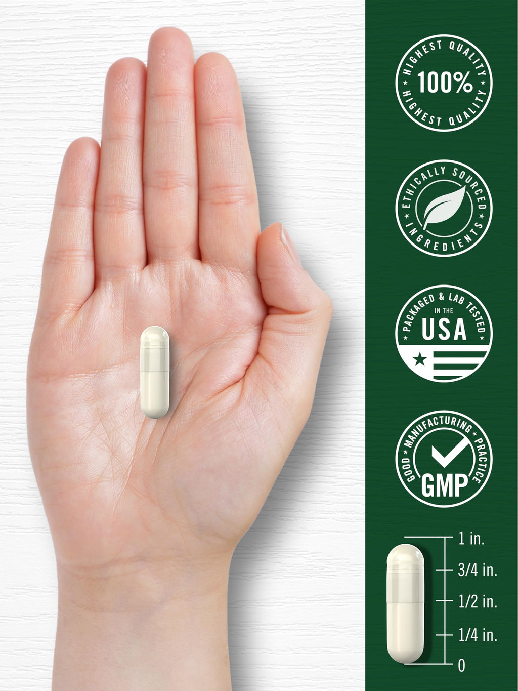 Carlyle Sulforaphane Supplement | 400 mcg | 180 Capsules | from Broccoli Seed Extract | Non-GMO and Gluten Free Formula