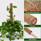 Eibikdi 101in Moss Pole for Plants Monstera 8 Pcs