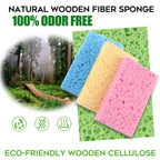Compressed Cellulose Kitchen Sponges 24Pack,Non-Scratch Biodegradable Natural Sponge Scrub for Dishes Cleaning,Funny Colorful DIY Sponge for Kids