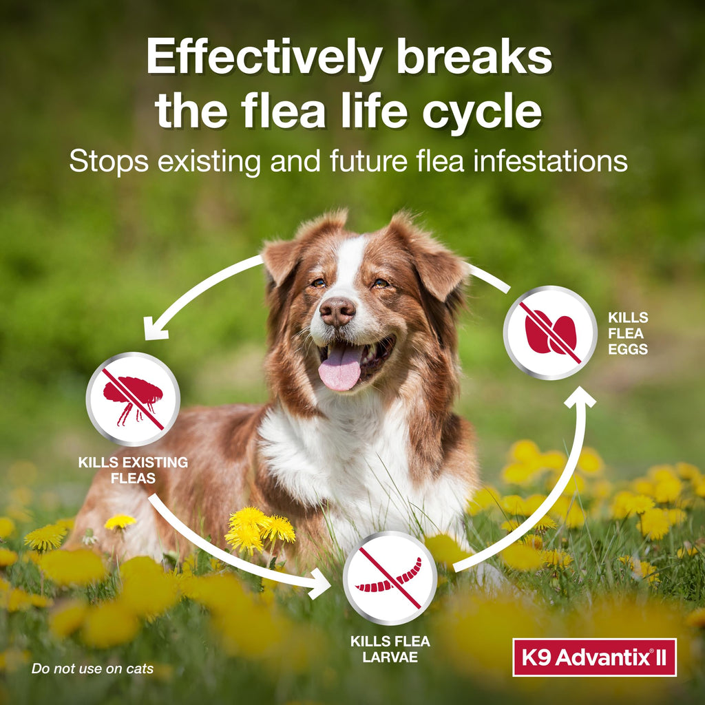 K9 Advantix II Flea & Tick Topical for Large Dogs 21–55 lbs., 1ct