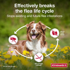 K9 Advantix II Flea & Tick Topical for Large Dogs 21–55 lbs., 1ct