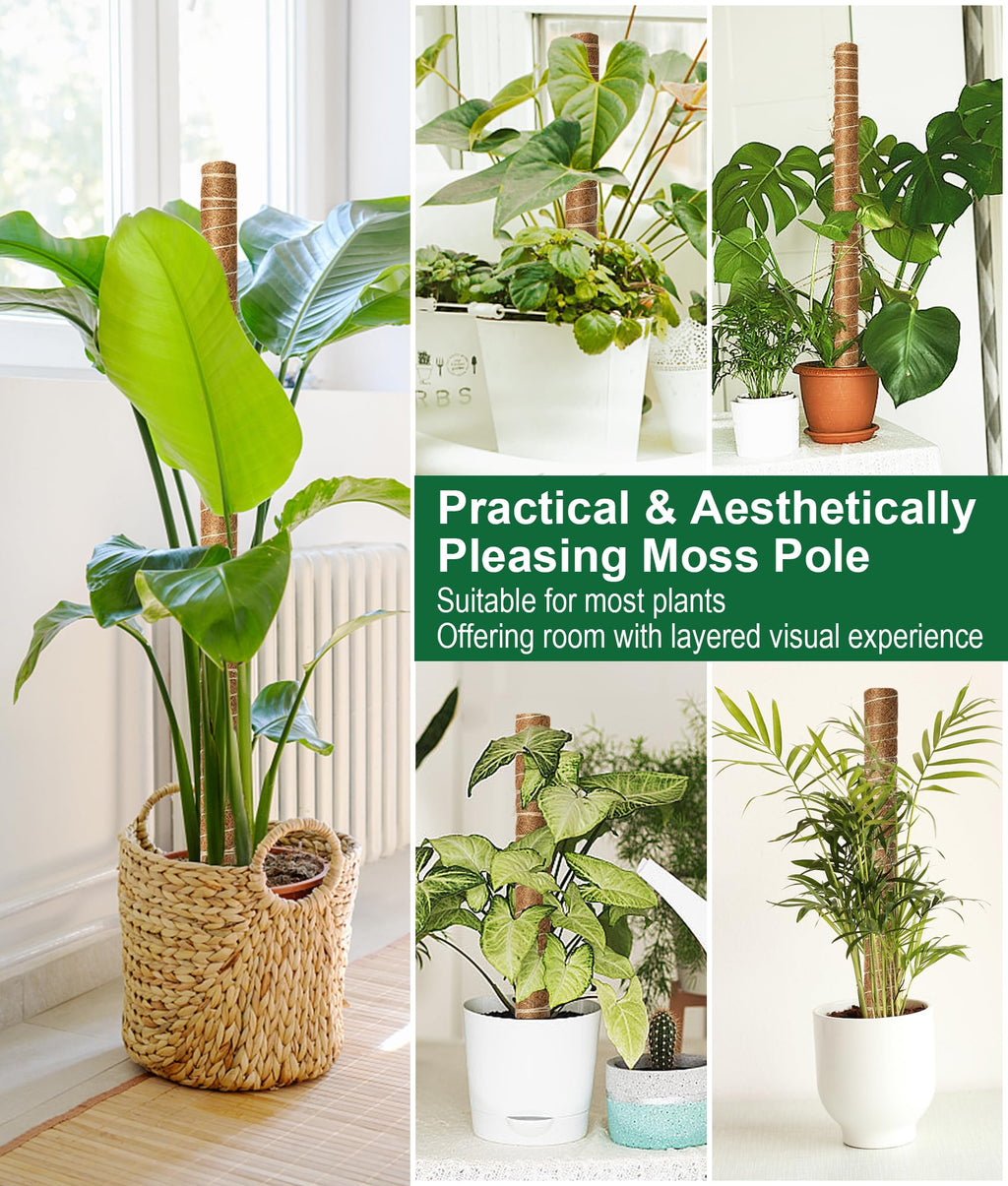 EAONE 96'' Moss Pole for Plants Indoor, 6 Pack 16” Monstera Plant Support Moss Stick for Climbing Plants, Stackable Coir Totem Pole Monstera Stakes with 12 Plant Labels & 100 Ties for Potted Plants