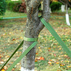 2,425 Lbs Strength Tree Straps, 216FT Tree Tie Support Straps for Staking
