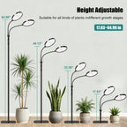 Dual Head Grow Light for Indoor Plants, Full Spectrum Floor Standing Plant Light, Remote Control & 4/8/12/18H Timer, 3 Modes 10 Dimmable Levels, Stable Base for Tall Plants Succulents Herbs, Black