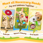 KIPRITII 25 Pack Various Dog/Puppy Toys Set for Small & Medium Dogs