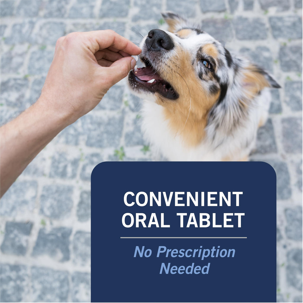 PetArmor CAPACTION Oral Flea Tablets Dogs 25+ lbs, Nitenpyram, 6-Dose