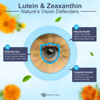 Rebuild Your Vision Ocu-Plus Formula – Eye Health Supplement with Lutein & Zeaxanthin – Supports Visual Clarity, Night Vision & Macular Health – with Bilberry, Ginkgo Biloba & NAC – 60 Capsules