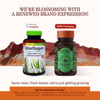 Herbs Etc. ChlorOxygen Chlorophyll Concentrate - Aids Healthy Blood Circulation - High-Altitude Environment Support - Energy Support - 120 Softgels (120 Servings)