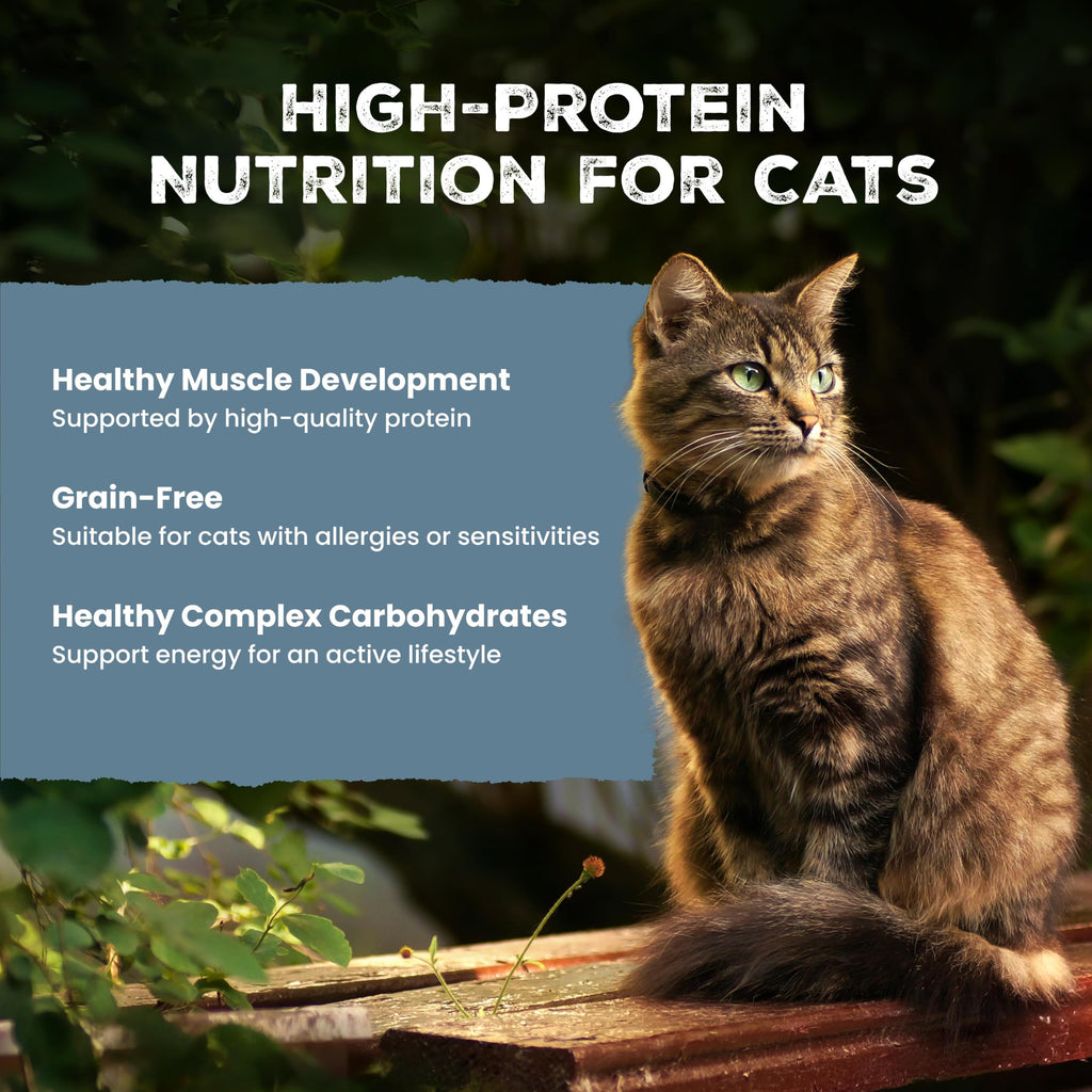 Blue Buffalo Wilderness Variety Pack Adult Paté Wet Cat Food, 3 oz, 12 ct