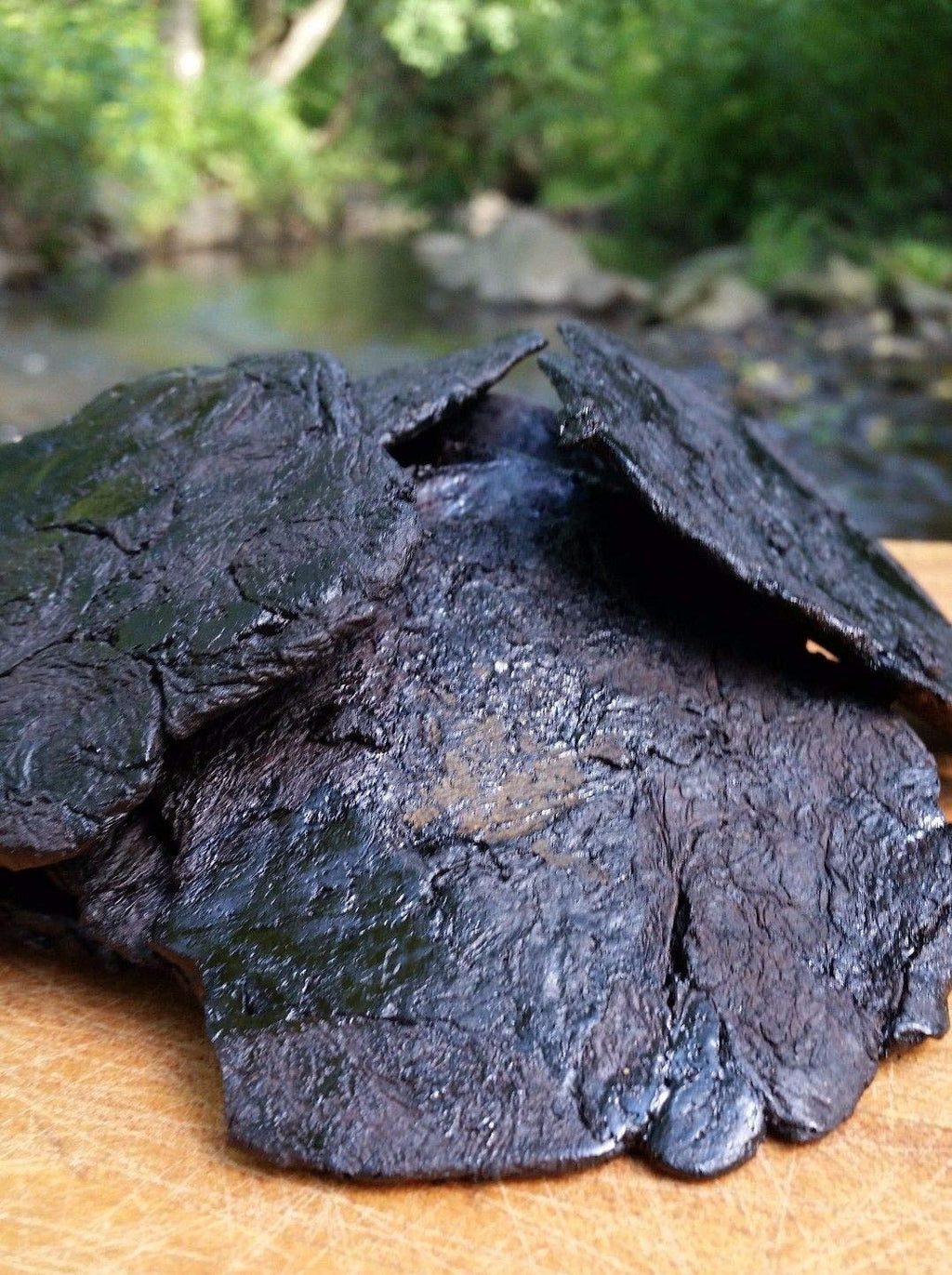 1lb Rehmannia (Prepared) | Shu Di Huang 蜀地黄 Radix Rehmannia glutinosa preperata | Traditionally Prepared, Premium Grade Large, Preservative Free | Use for Yin Jing, Energy, Health for Men & Women