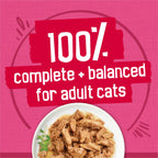 Purina Friskies Prime Filets Cat Food Variety Pack, 48 Ct Cans
