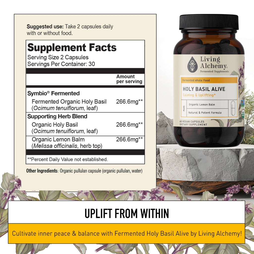 Holy Basil Supplements - Fermented Holy Basil with Natural Lemon Balm - Daily Supplements for Women & Men - Vegan, Non-GMO - Living Alchemy, 60 Pcs