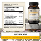 Holy Basil Supplements - Fermented Holy Basil with Natural Lemon Balm - Daily Supplements for Women & Men - Vegan, Non-GMO - Living Alchemy, 60 Pcs
