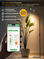 24W Grow Lights for Indoor Plants, Full Spectrum LED Plant Light With Stand