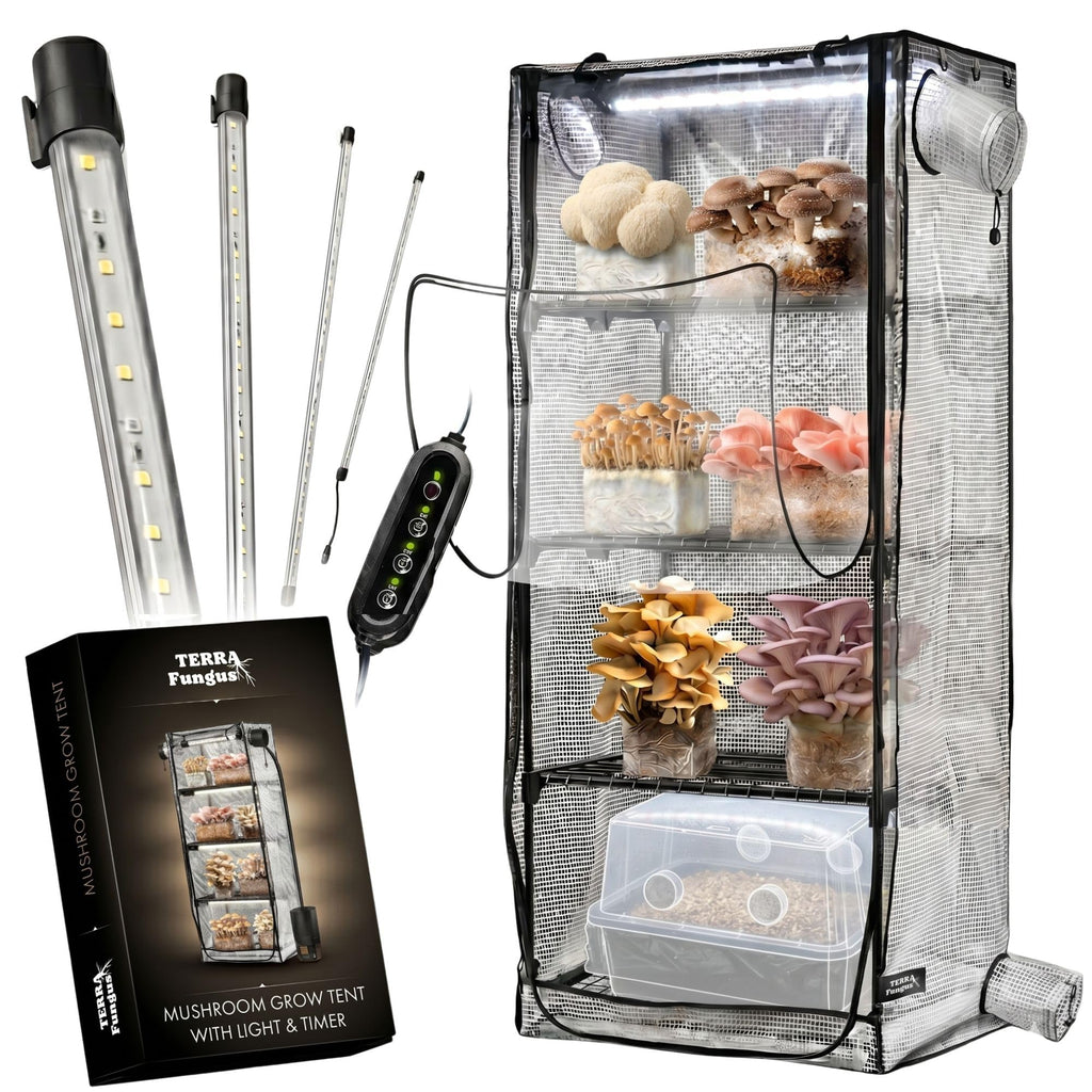 Mushroom Grow Tent with 6500K LED Light & Timer, 4-Tier Shelves