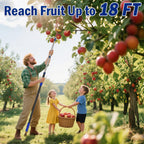 Karveden 18FT Reach Fruit Picker Pole with Basket Telescoping, 3-12FT Extendable Aluminum Apple Picker for Picking Avocados, Figs, Mangoes, Citrus Fruits - Durable Harvesting Fruit Catcher for Trees