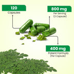 NaturalHerbo Pure Moringa Capsules - Pure Moringa Leaf Extract for Natural Energy, Digestion & Daily Wellness | Green Superfood Supplement | Vegan, Non-GMO, Gluten-Free | 120 Capsules (800mg)