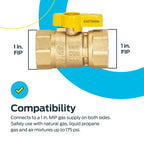 Eastman 1 Inch FIP Straight Gas Ball Valve with 1/4-Turn Handle, Brass Plumbing Fitting, 60013