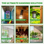 Etoolia 12 Pcs Ceiling Q Hanger Hooks for Hanging Plants 2.2inches Black