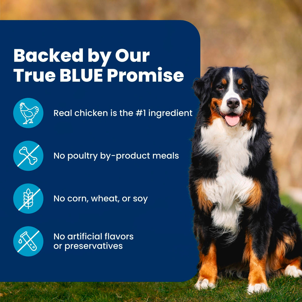 Blue Buffalo Life Protection Formula Chicken Adult Dry Dog Food, 30 lb