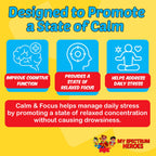 My Spectrum Heroes Calm & Focus Supplement Drops - Brain Support with L-theanine, GABA, Huperzine A - Enhance Focus for Kids or Adults - Boost Concentration for Kids & Teens - 2.02 FL oz. (60 ml)