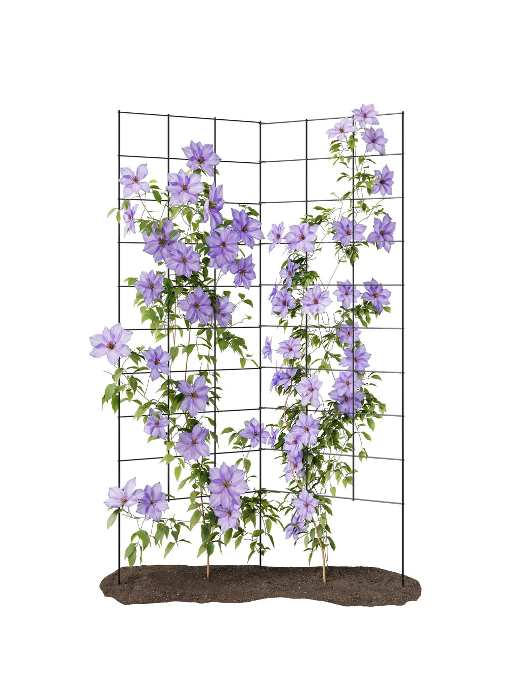 2-Panel Folding Garden Trellis - Maximize Your Garden Space, Durable Powder Coated Steel Frame, Easy-to-Use Design, Perfect for Climbing Vines, Vegetables, Beans, Tomato, Cucumber, 35x58"