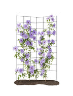 2-Panel Folding Garden Trellis - Maximize Your Garden Space, Durable Powder Coated Steel Frame, Easy-to-Use Design, Perfect for Climbing Vines, Vegetables, Beans, Tomato, Cucumber, 35x58"